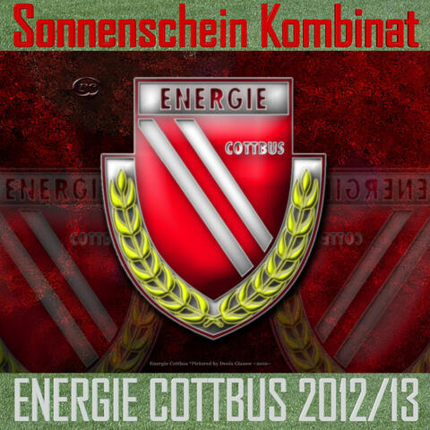 Energie Cottbus 2012/13