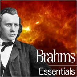 Brahms: Horn Trio in E-Flat Major, Op. 40: II. Scherzo. Allegro