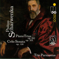 Piano Trio in C-Sharp Minor, Op. 100: II. Allegro