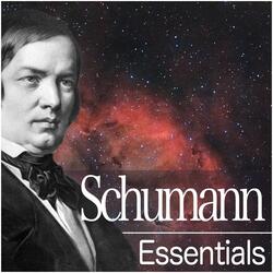 Schumann: Abegg Variations, Op. 1: Variation II