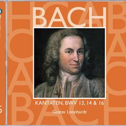 Bach, JS: Meine Seufzer, meine Tränen, BWV 13: No. 4, Rezitativ. "Mein Kummer nimmet zu"