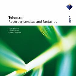 Telemann: Fantasia for Recorder in E Minor, TWV 40:9: Largo - Spirituoso - Allegro