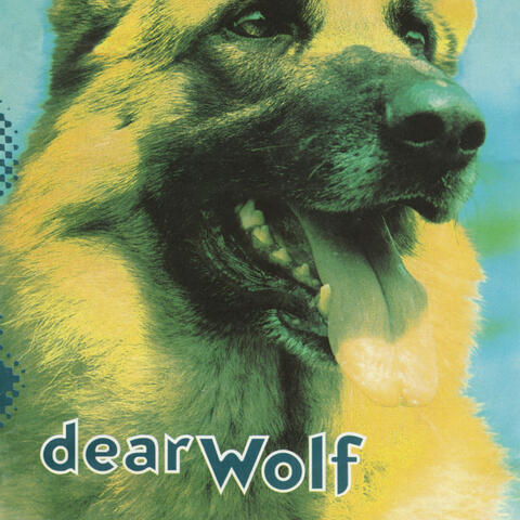 Dear Wolf
