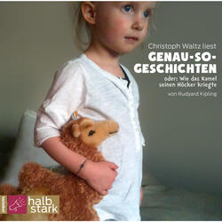 Der Anfang der Gürteltiere