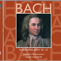 Bach, JS: Weinen, Klagen, Sorgen, Zagen, BWV 12: No. 4, Aria. "Kreuz und Krone sind verbunden"