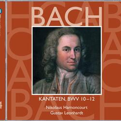 Bach, JS: Meine Seel erhebt den Herren, BWV 10: No. 2, Aria. "Herr, der du stark und mächtig bist"