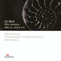 Bach, JS: Geist und Seele wird verwirret, BWV 35: No. 5, Sinfonia