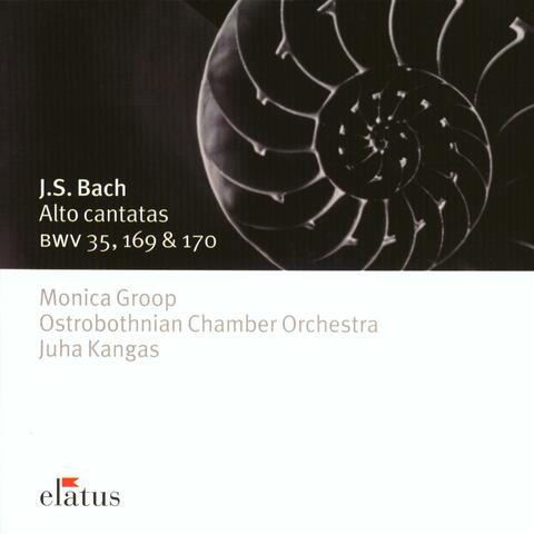 Bach : Alto Cantatas