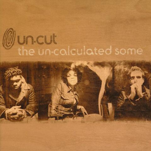 THE UN-CALCULATED SOME
