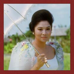 The Rose of Tacloban (feat. Martha Wainwright)