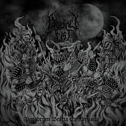 Invocation Into Devil's Flesh