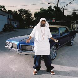 Draped Up