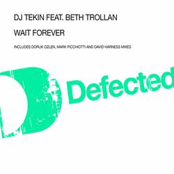 Wait Forever (feat. Beth Trollan)