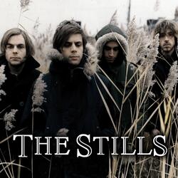 Still in Love Song