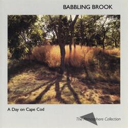 A Day on Cape Cod: Babbling Brook