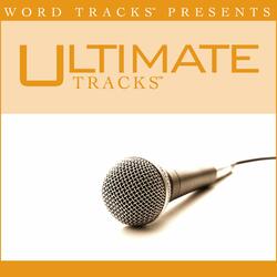 Ultimate Tracks - Savior,  Please - as made popular by Josh Wilson [Performance Track]