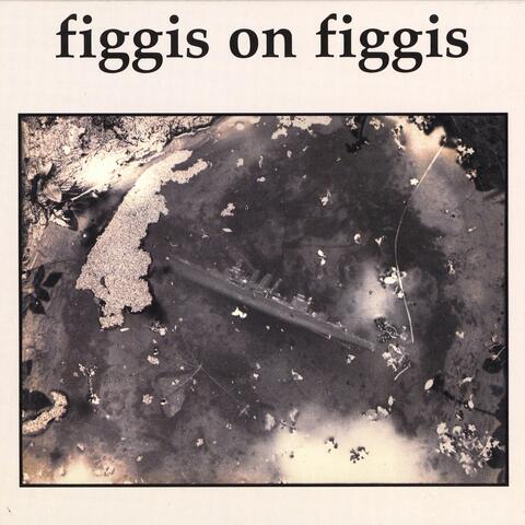 Figgis On Figgis
