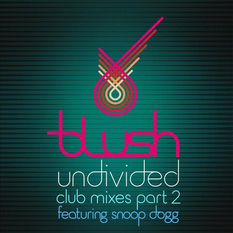 Undivided (feat. Snoop Dogg) - Club Mixes Part 2