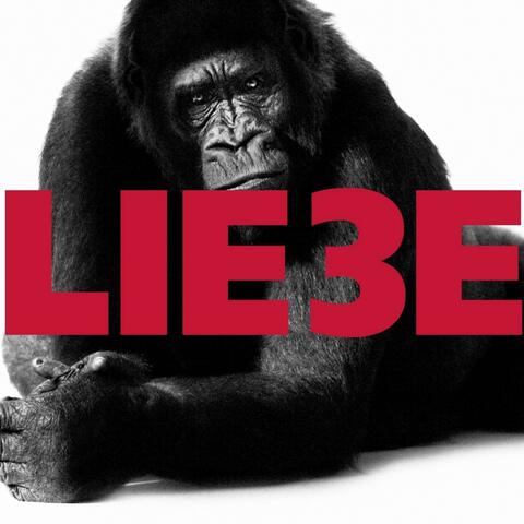 Liebe 3