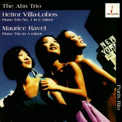 Piano Trio No. 1 in C minor - Andante sostenuto