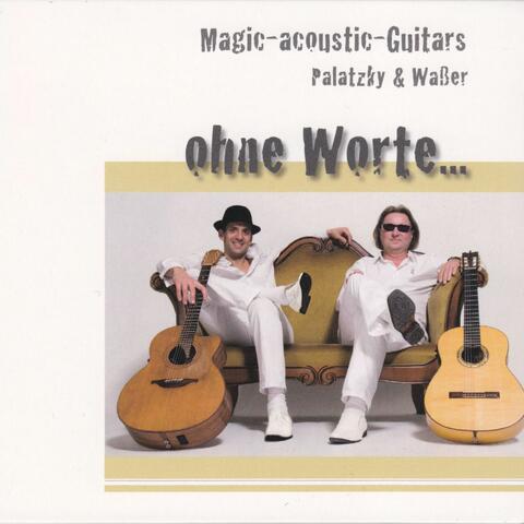 Magic-Acoustic-Guitars (Palatzky & Waßer)
