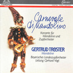 Konzert C-Dur für Barockmandoline und Zupforchester: I. Allegro