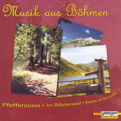 Musik aus Böhmen