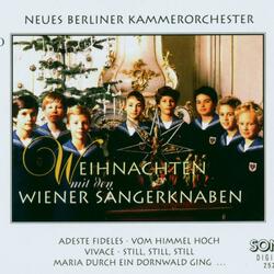 Weihnachts-Oratorium, BWV 248: Sinfonia
