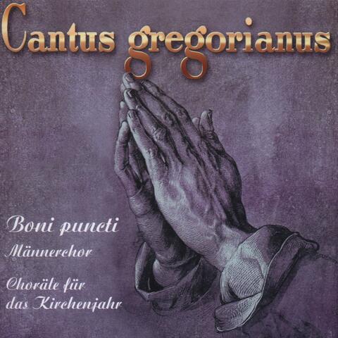 Cantus Gregorianus 2