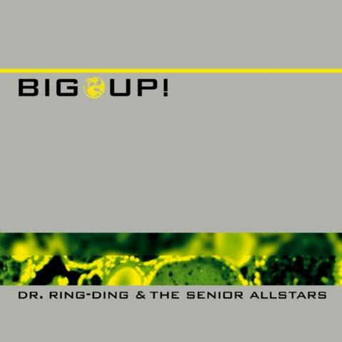 Dr. Ring-Ding & the Senior Allstars
