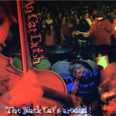 The Black Cat's Around!