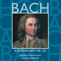 Bach, JS: Nimm von uns, Herr, du treuer Gott, BWV 101: No. 4, Aria. "Warum willst du so zornig sein"