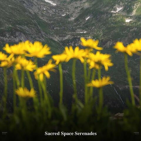 !!!!" Sacred Space Serenades "!!!!