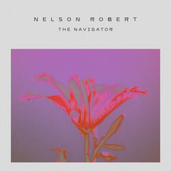 The Navigator