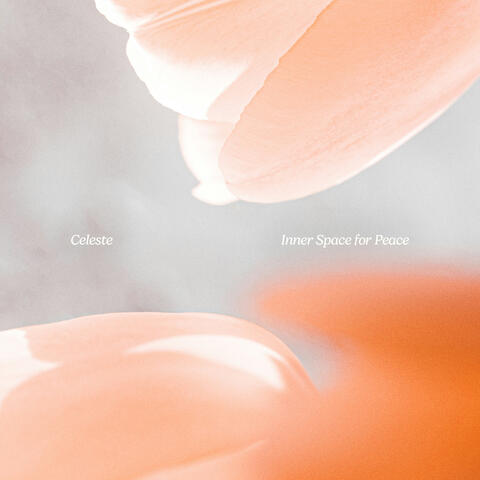 Inner Space for Peace