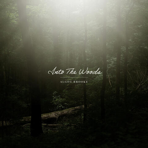 Into The Woods