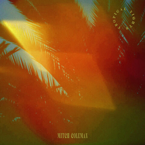 Tropical Nights