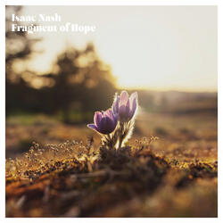 Fragment of Hope
