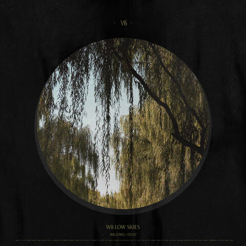 Willow Skies