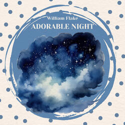 Adorable Night