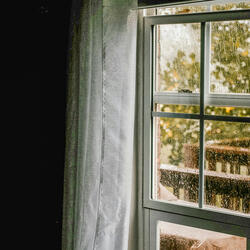 Dewy Drops