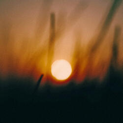 Tranquil Chronicles