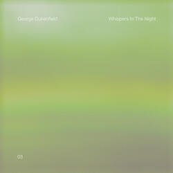 Whispers in the Night