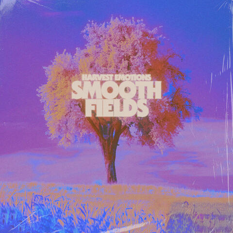 Smooth Fields