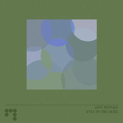 Eyes in the Skies