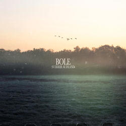 Bole