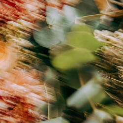 Ambient Melodies With Gentle Noise For Deep Sleep