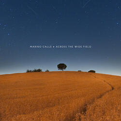 Across the Wide Field