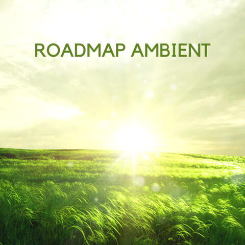 Roadmap Ambient