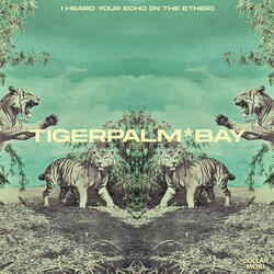 I Heard Your Echo (In the Ether)